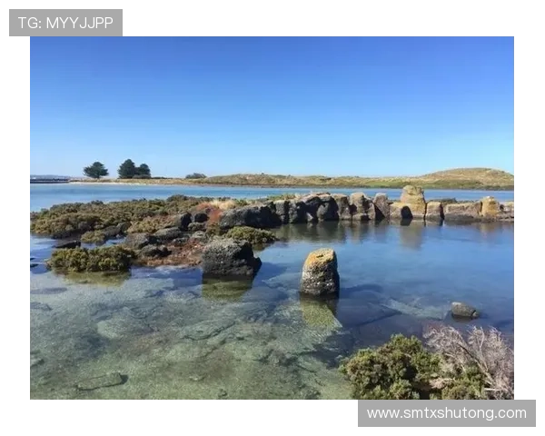 这部西部世界深度解析，12个角色关系图谱，谁是你的菜？